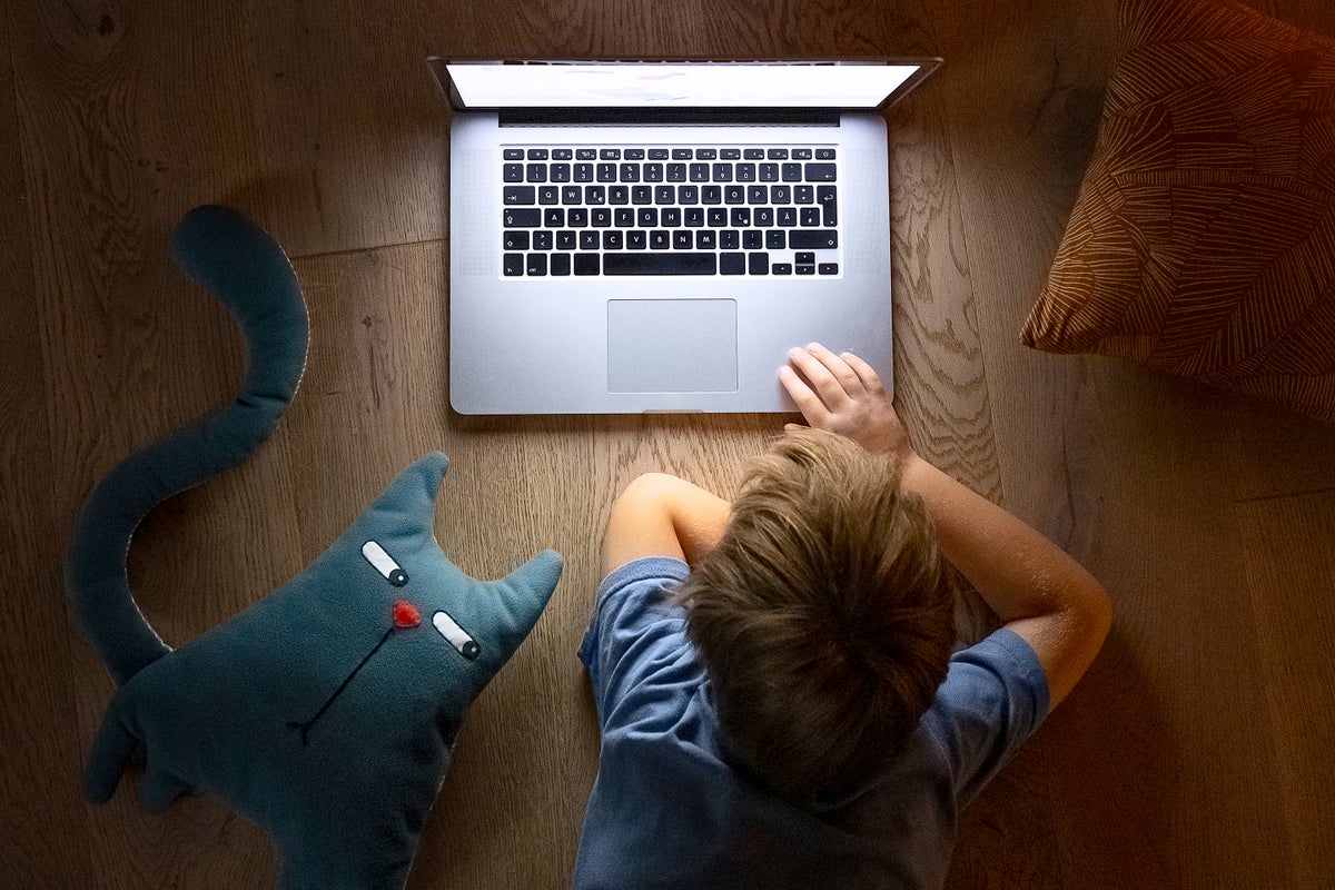 Even Four-Year Olds Instinctively Fact-Check for Misinformation