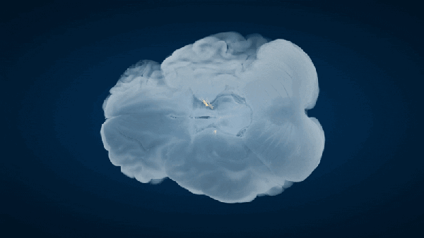 A cross section of the brain with animated activation, representing neurons firing in a circuit