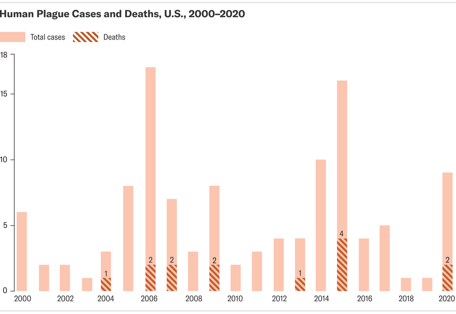 A bar chart displays the number of human plague cases and deaths in the U.S. from 2000 to 2020, with an average of seven cases per year. The year 2006 had the most cases, with 17 cases and two deaths.