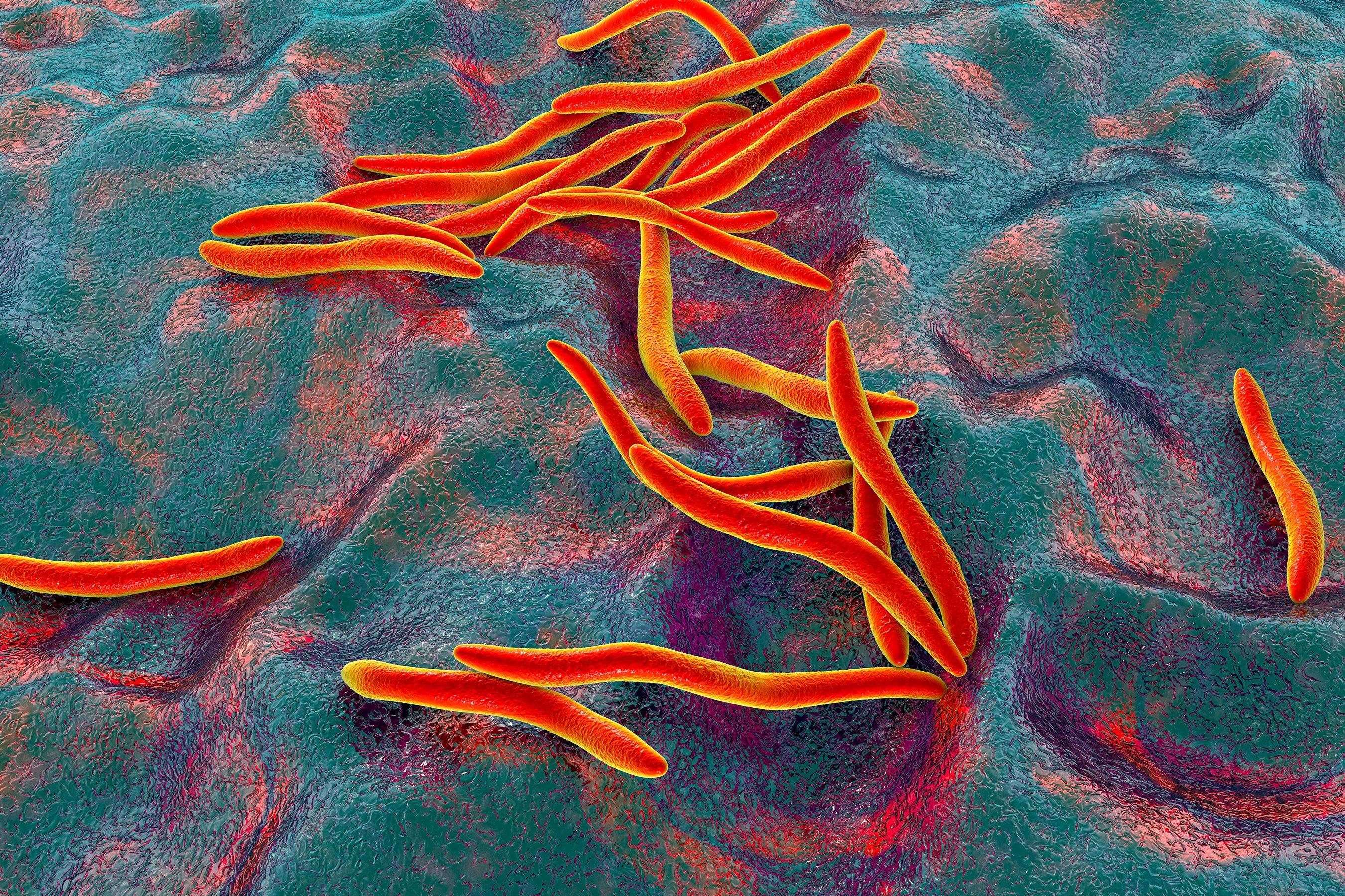 Computer illustration of orange worm like bacteria on green background.