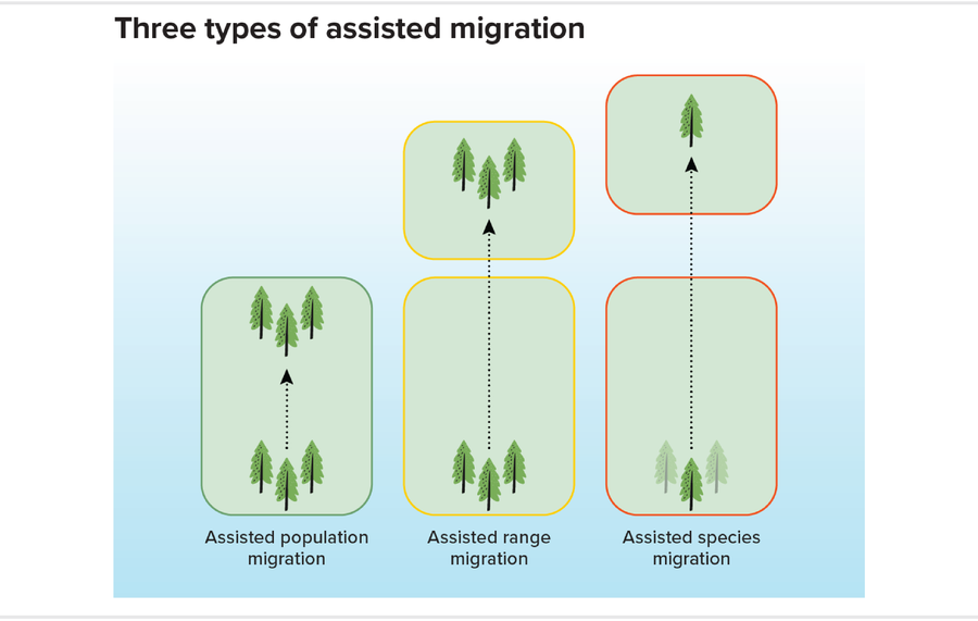Diagram shows three types of assisted tree migration.