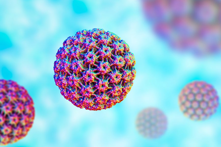 https://static.scientificamerican.com/dam/m/3554f89a72f6e121/original/human_papilloma_virus_hpv.jpg?m=1745867379.528&w=900