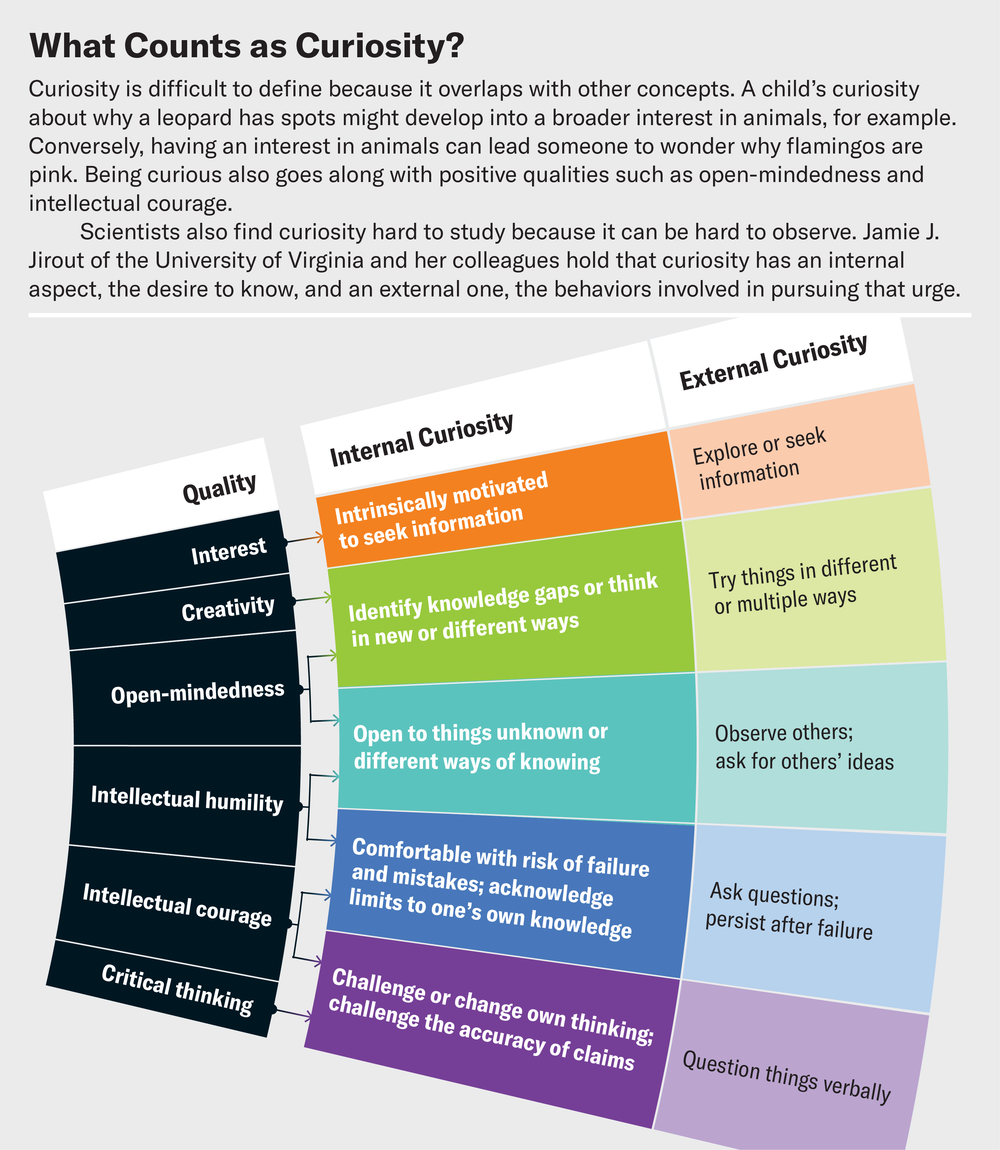 How the Science of Curiosity Boosts Learning | Scientific American