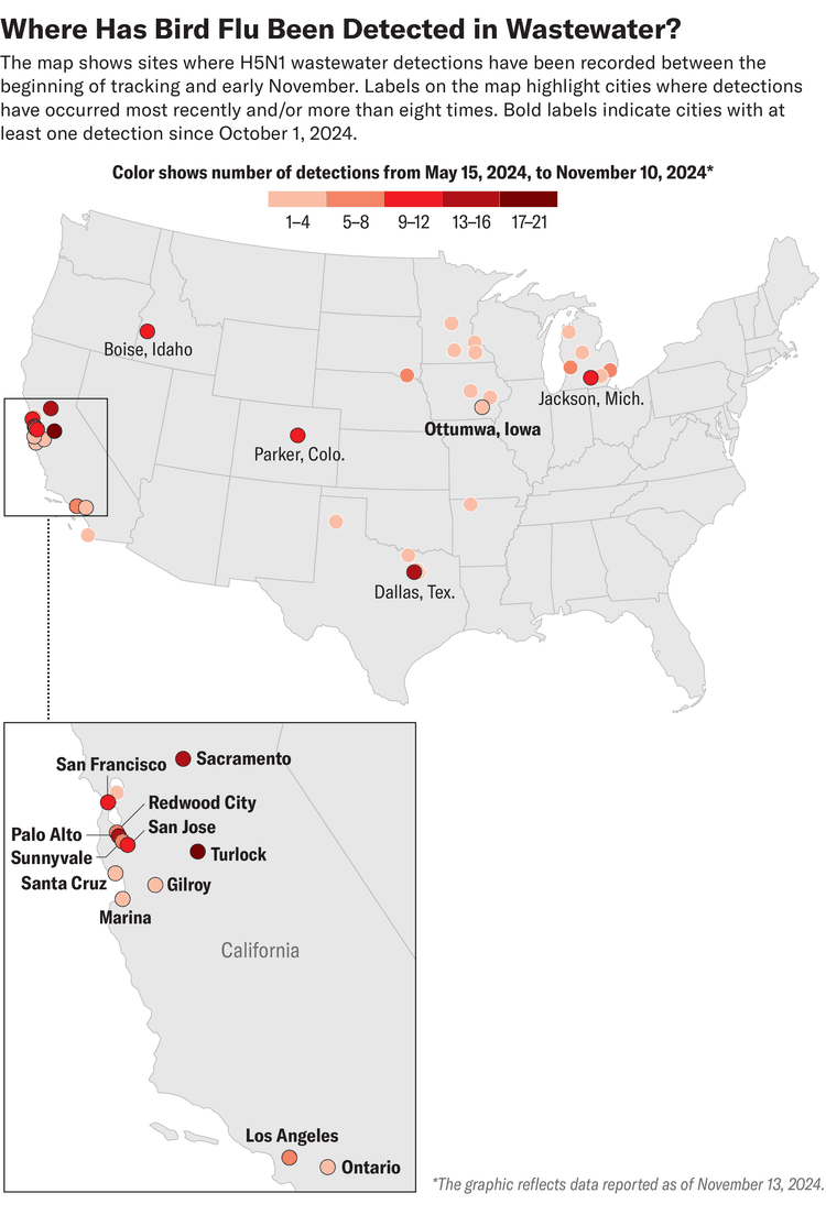 What Bird Flu in Wastewater Means for California and Beyond ...