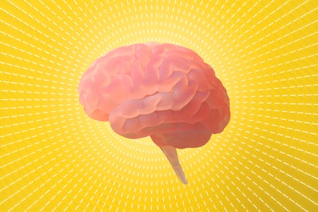 Digital illustration of a brain against yellow background with circular, radiating line pattern