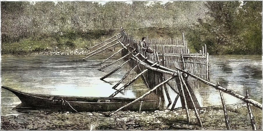 An 1882 illustration of a salmon weir at Quamichan Village on the Cowichan River, Vancouver Island, Canada. The weir is made from timber, a canoe rests on the river's edge in the foreground and a person stands in the middle of the weir