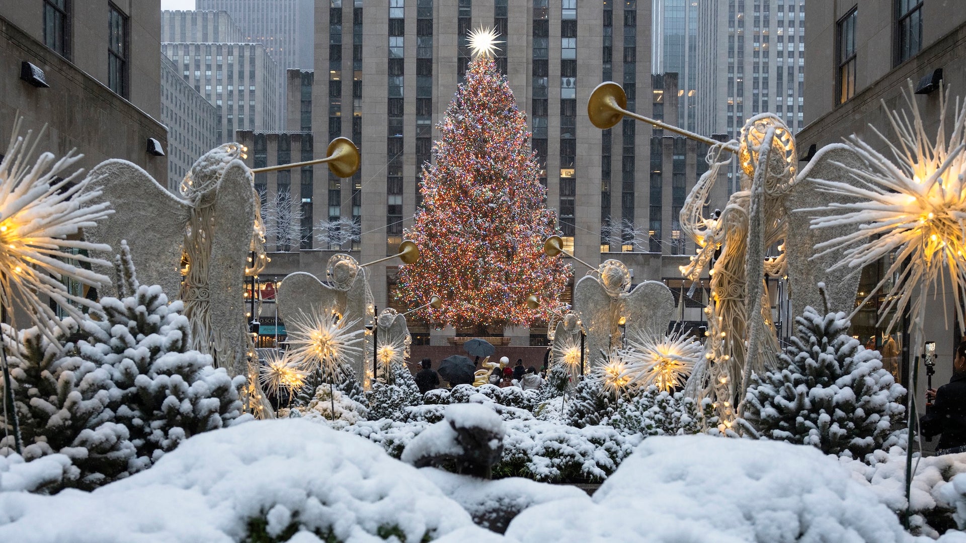 Will There Be a White Christmas This Year? It Depends on Where You Live |  Scientific American, image size:1920x1080