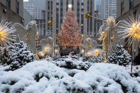 Christmas tree in the center background of the photo, flanked by trumpeting angles and in the foreground is snow covered greenery