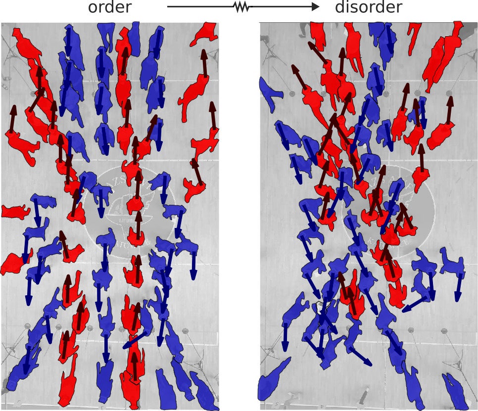 Side-by-side aerial view comparison of an orderly pedestrian flow on the left versus a disordered pedestrian flow on the right
