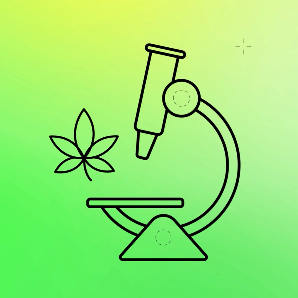 weed and glp 1 How THC, the Psychoactive Compound in Weed, Gets You High