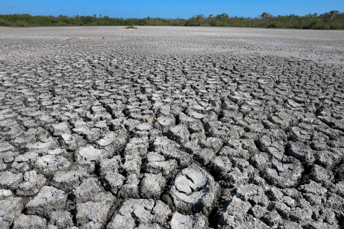 Dangerous microbes may be hiding in drought-stricken soils