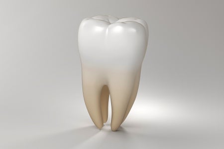 3d rendering of a human tooth on a gray background