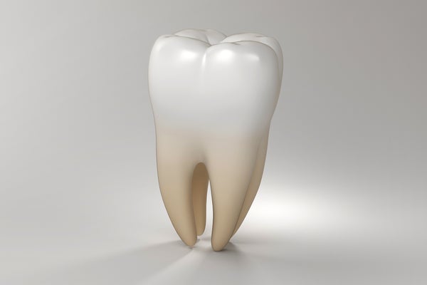 3d rendering of a human tooth on a gray background