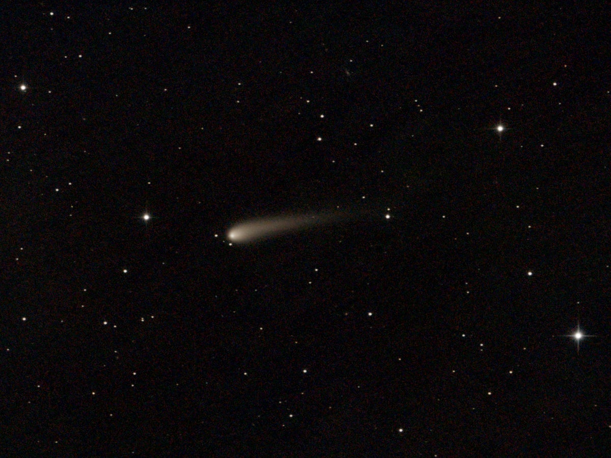 Comet with trail seen in night sky with stars