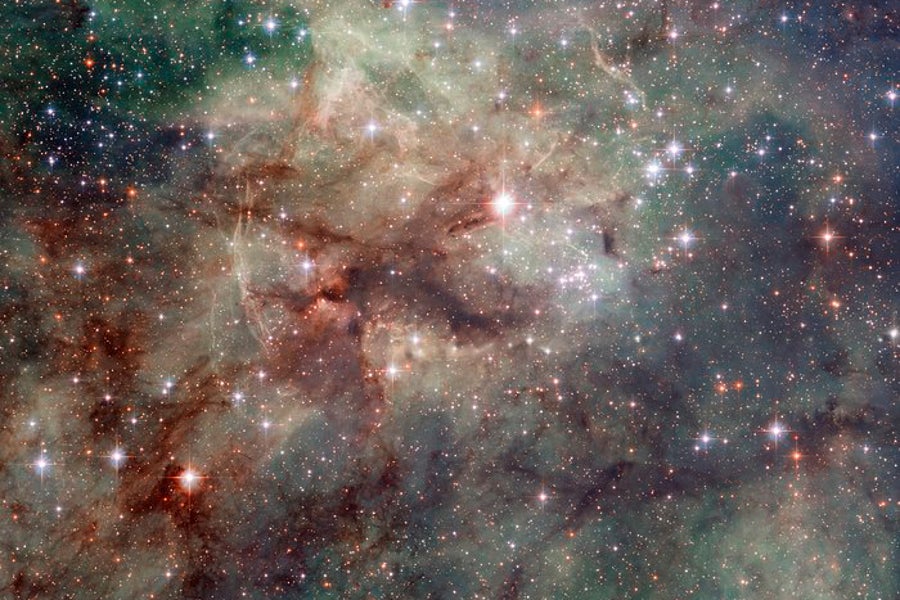 https://static.scientificamerican.com/dam/m/3a566e0ab9b7232c/original/Tarantula-nebula.jpg?m=1745595837.323&w=900