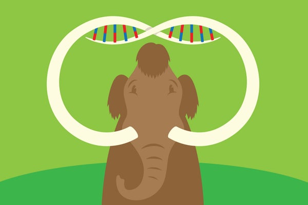 Illustration of a mammoth with tusks, and DNA looping around the tusks