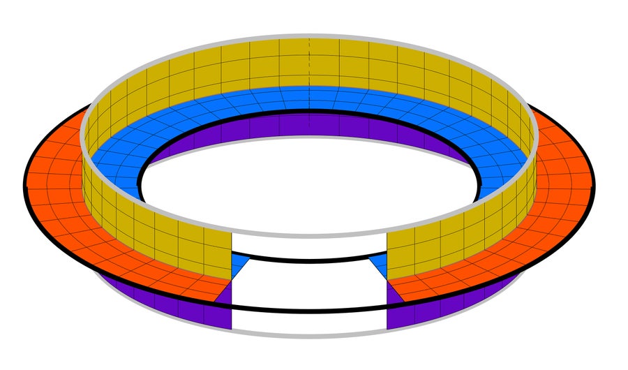 A cruciform stripe looped around itself in a ring, with each of the four transverse edges differently colored.