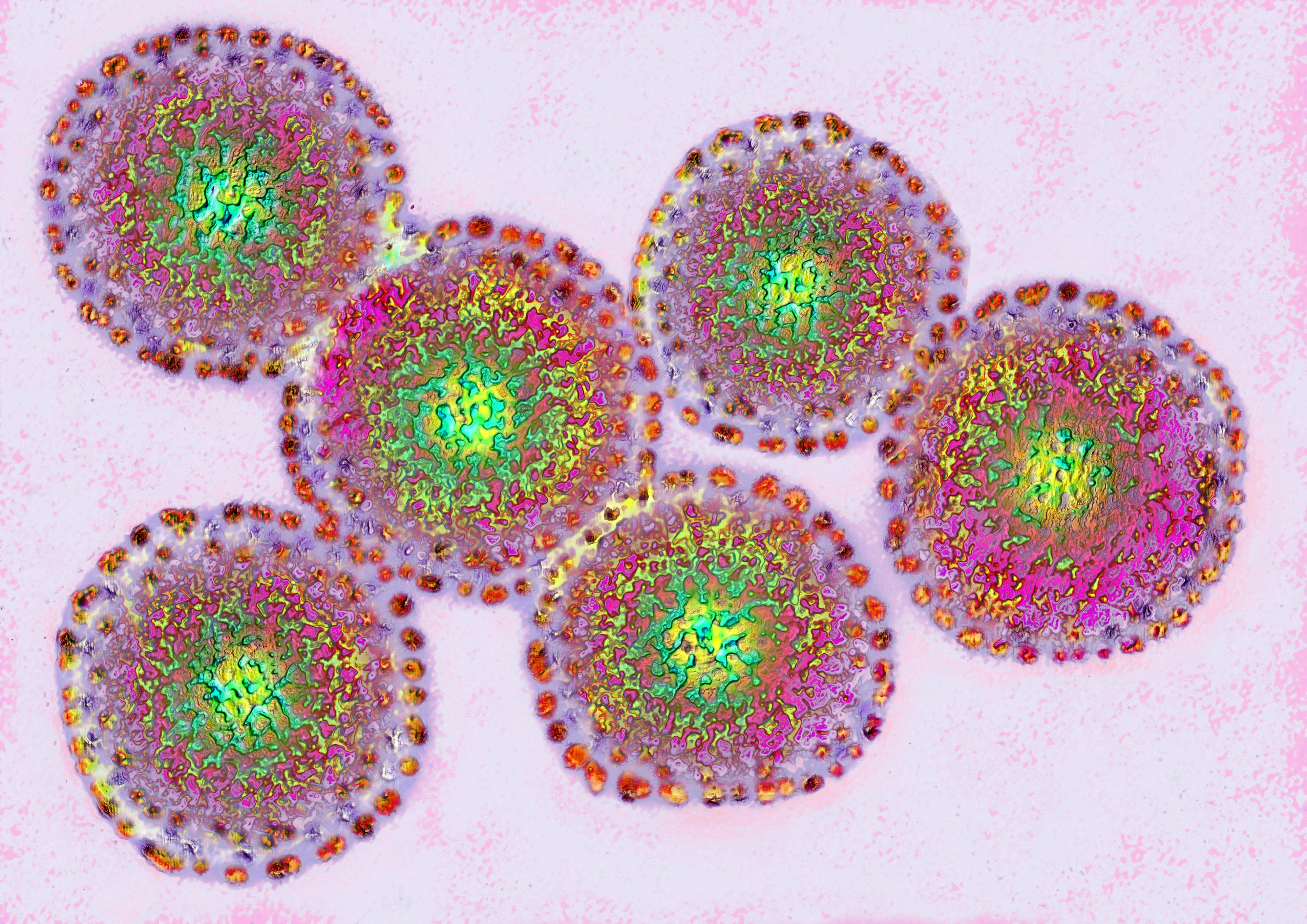 Microscopic view of round viruses with textured surfaces