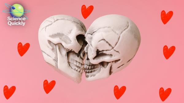 Conceptual image of two skulls kissing on a pink background