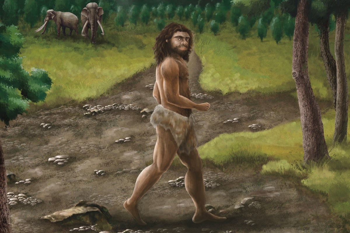 A Fossil Has Been Confirmed as Denisovan, Showing These Enigmatic Human Cousins Lived from Siberia to the Subtropics