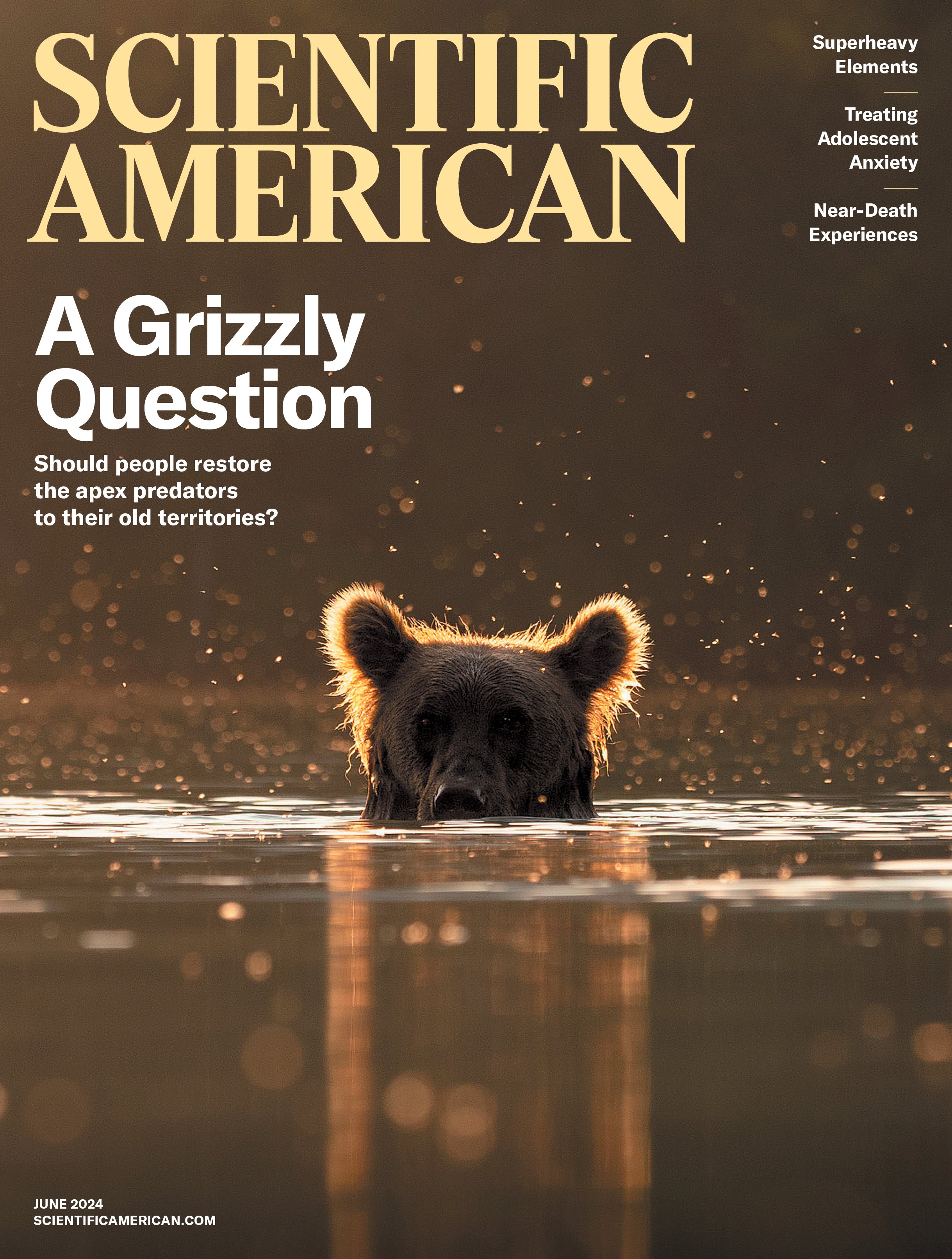 American Science Issue Archive: 2024 | Scientific American