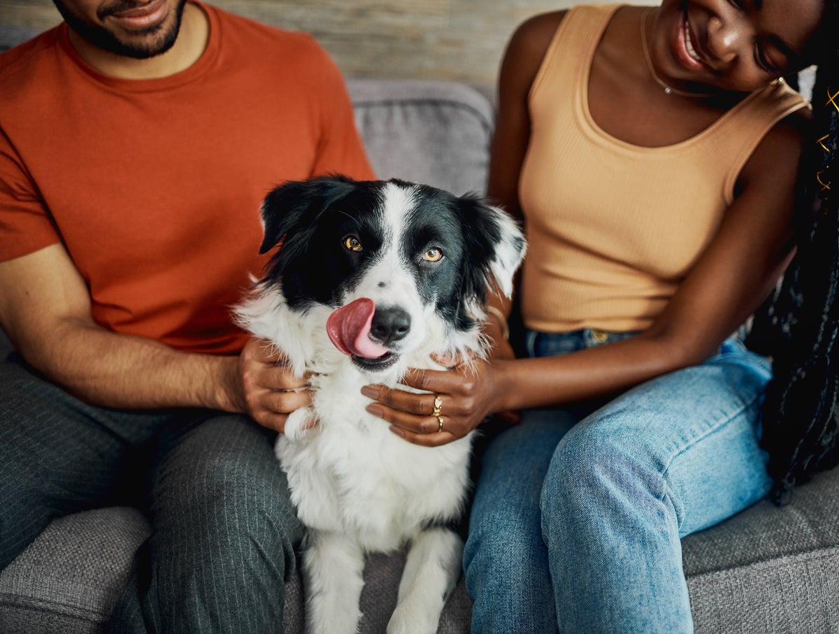 Are Pets Really Good for Health?
