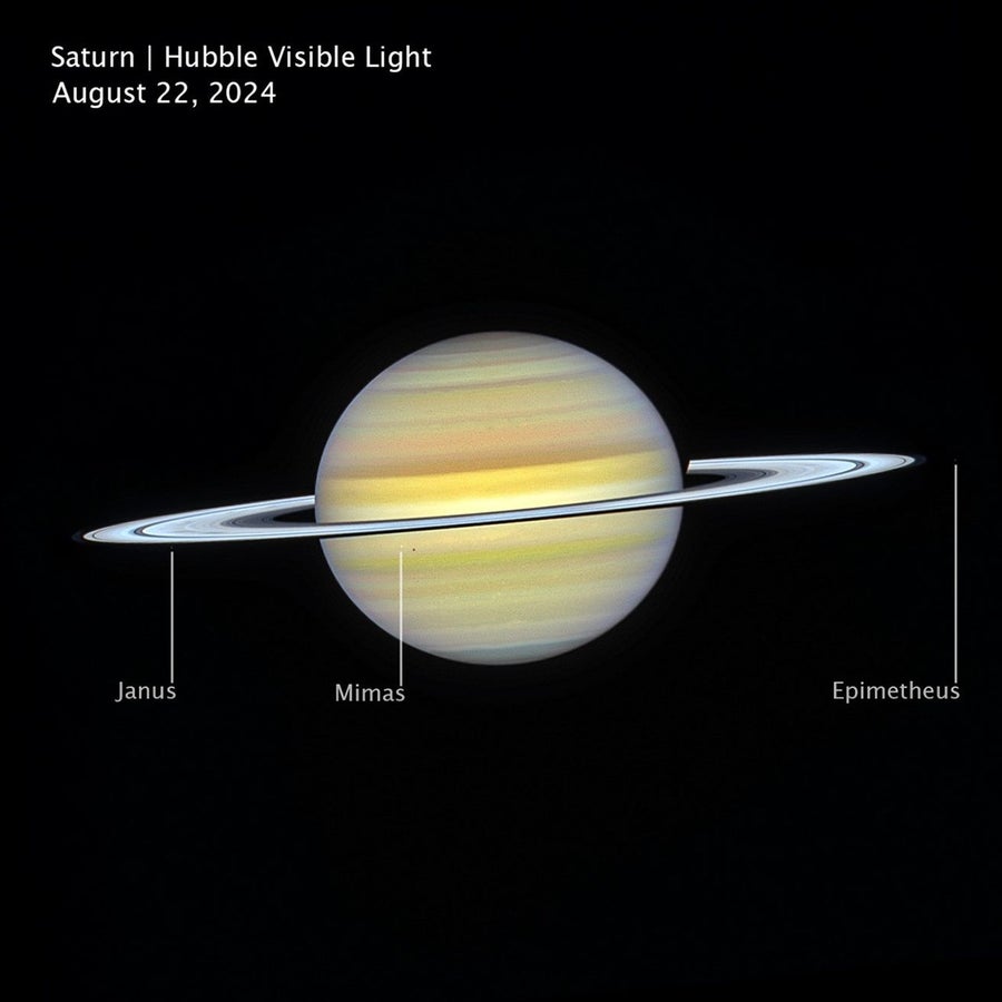 An image of Saturn, showing the planet’s softly banded atmosphere and bright ring system.