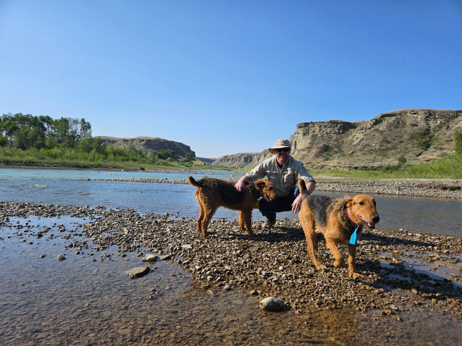 Man with two dogs.