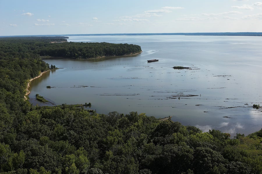 Aerial downriver overview of Mallows Bay, revealing the extent of the wrecks in the “Ghost Fleet”