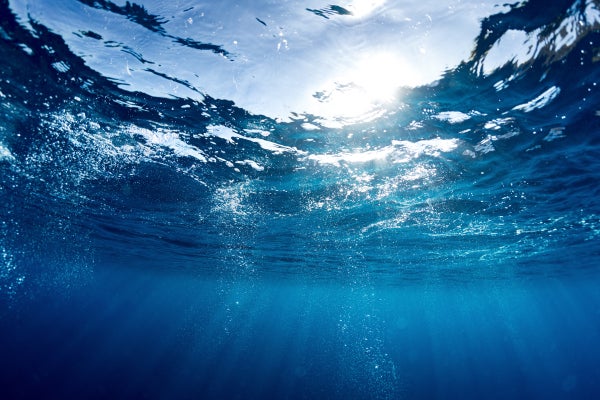 Underwater landscape on the sea surface