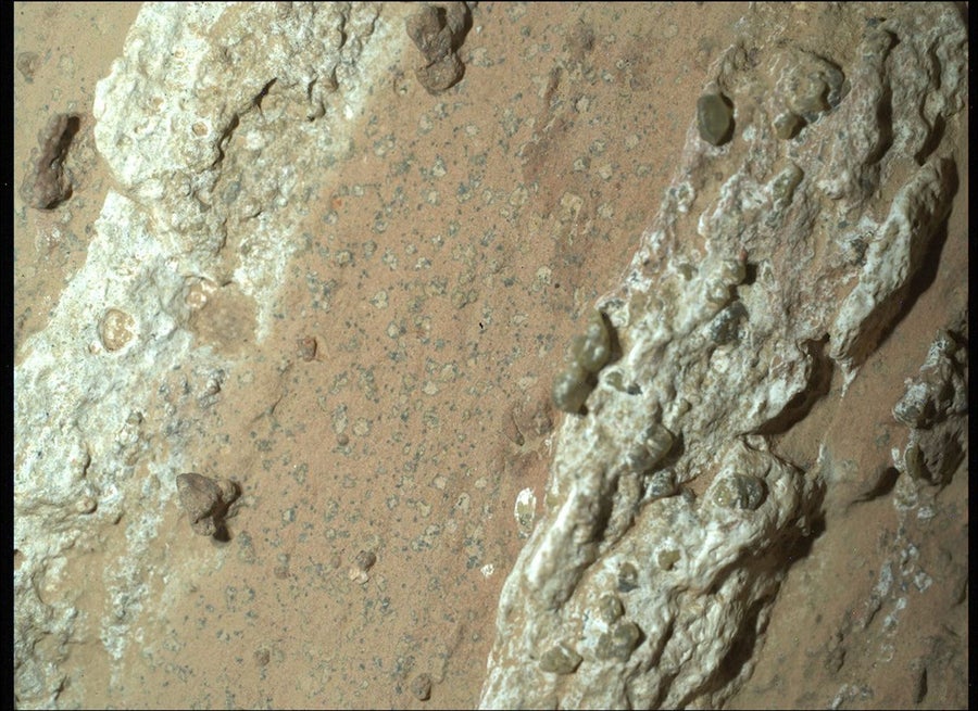 The speckled, variegated surface of the "Cheyava Falls" rock, as seen by NASA's Perseverance Mars rover