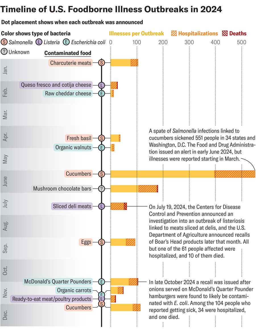 The timeline considers US food diseases in 2024, along with infected foods, type of bacterial, and disease, hospitalization and number of deaths.