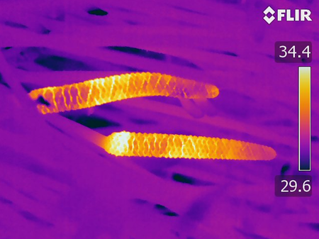 Two orange and yellow enlongated cones against a purple background