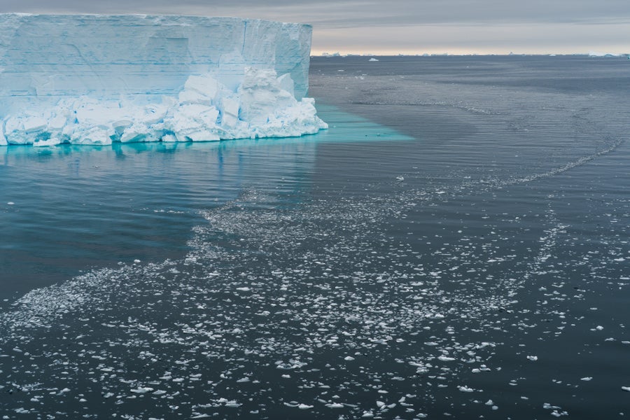 Remnants of a massive iceberg calving event