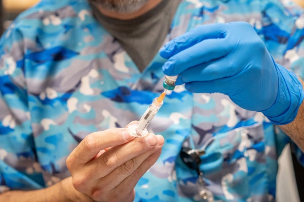 Trabalhador de saúde em camisa azul -camuflando enche a seringa com a vacina MMR
