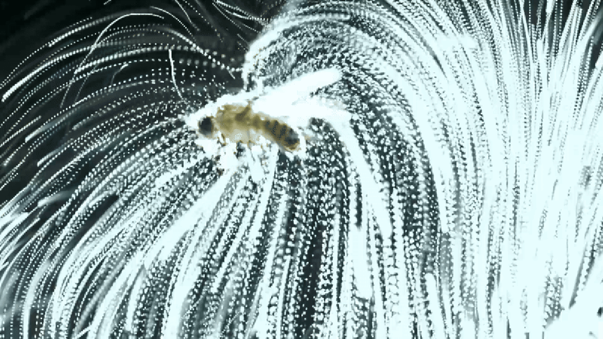 These Worms Use Static Electricity like a Sci-Fi Tractor Beam