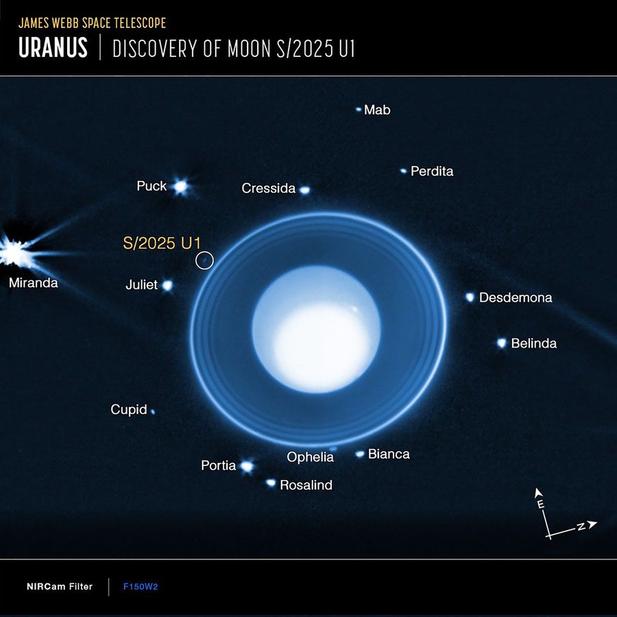 Graphic of Uranus with rings and moons