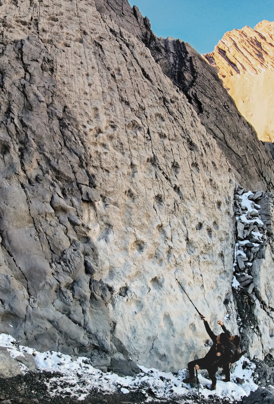 شخصان ينظران إلى لوح صخري به آثار أقدام ديناصور. 