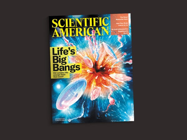 Cover of the November 2025 issue of Scientific American against a gray background