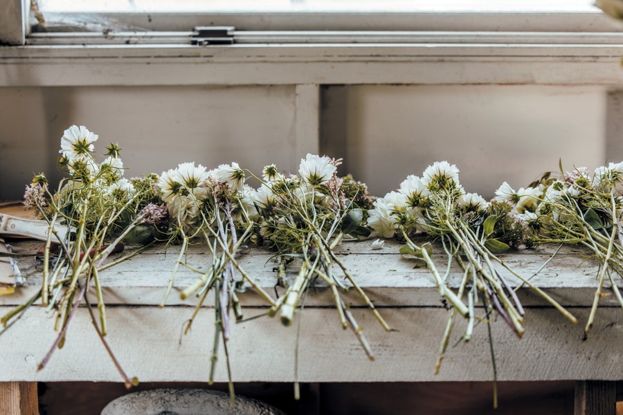 Cut flowers on a bench