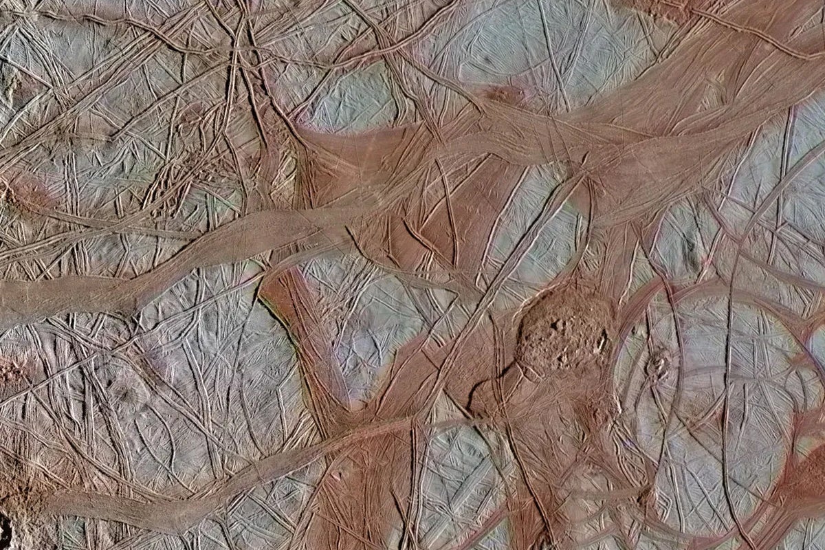 Detailed view of surface of 