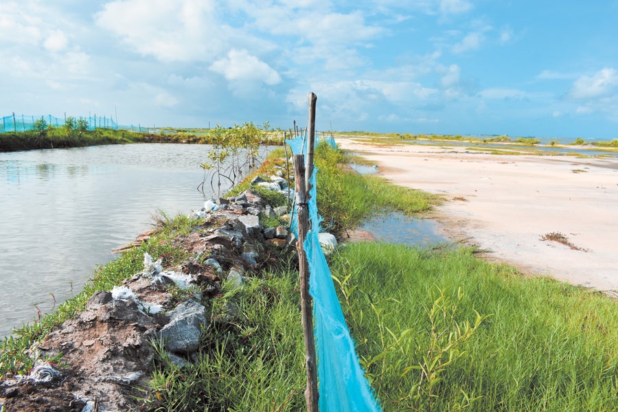 Image divided salt water pond on left barren sand on right