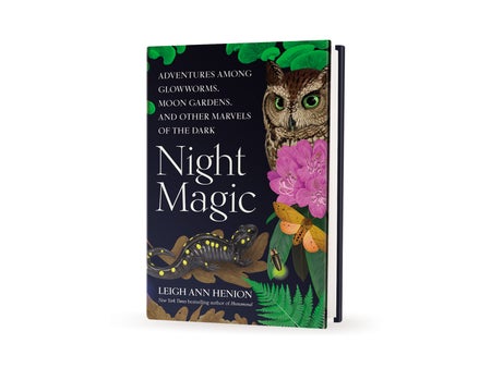 Cover of the book Night Magic