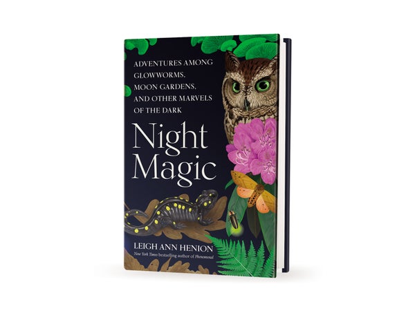 Cover of the book Night Magic