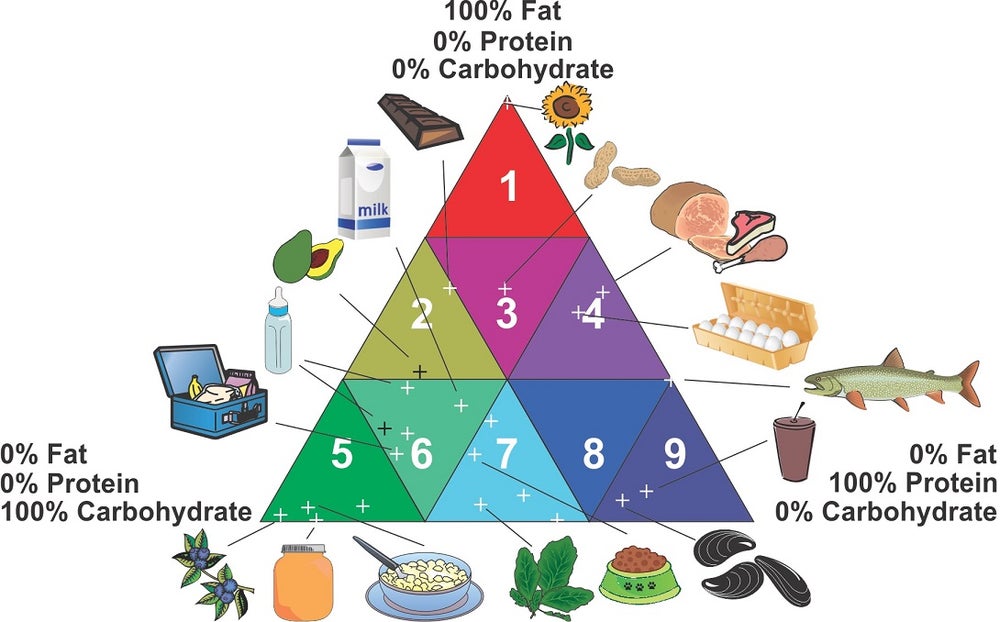 Diagram shows how various types of food are positioned within a food triangle where each corner represents the maximum percentage of fat, carbohydrate or protein content.