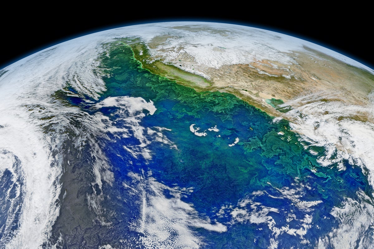 Scientists Will Engineer the Ocean to Absorb More Carbon Dioxide