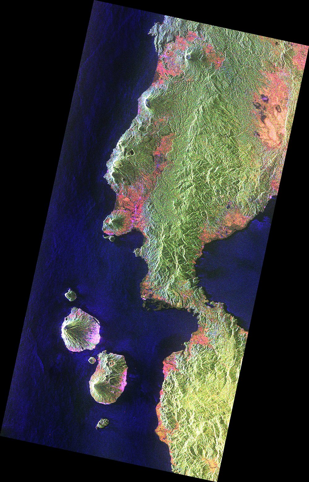La imagen de la biomasa de una sección de Indonesia, rodeada de agua, con dos islas Volanic a la izquierda. La tierra es principalmente verde con algunos parches de rosa y beige cerca de las costas