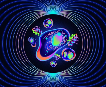 An illustration showing glowing cells and glowing protein structures, surrounded by a geometric muti-coloured circular design. The curved lines form a tunnel, with the proteins and cells in the centre.