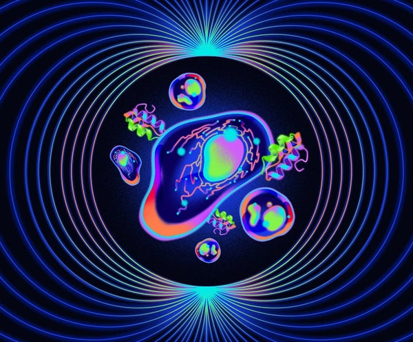 An illustration showing glowing cells and glowing protein structures, surrounded by a geometric muti-coloured circular design. The curved lines form a tunnel, with the proteins and cells in the centre.