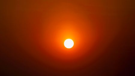 Full-frame sun with haze circle shining upward.